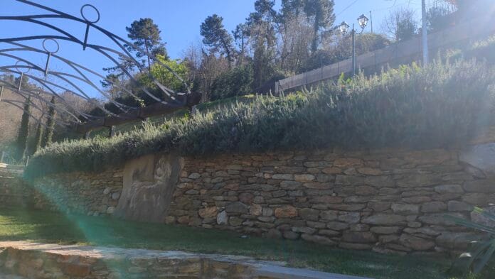 oplus_0 Giardino terazzato, con muro di sasso e rosmarino prostrato che scende giu. in una villa a forte dei marmi