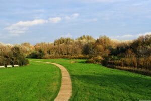 Sentiero di un parco in montagna, circondato da verde e da alberi.