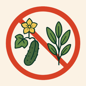 Piante incompatibili: cetriolo e salvia.