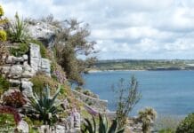 Giardino sostenibile, su delle rocce, con piante tolleranti alla siccità per un risparmio idrico