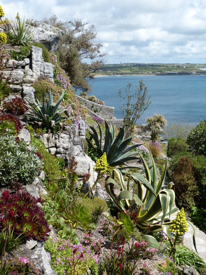 cornwall-539419 Giardino sostenibile, su delle rocce, con piante tolleranti alla siccità per un risparmio idrico