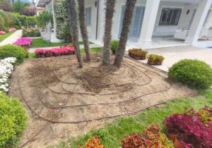 Aiuola in costruzione con sistema di irrigazione già posizionato e sunpatients e coleus in vaso pronti per essere messi a dimora