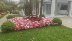 Giardino ben curato con aiuola rigogliosa di piante annuali fiorite in tonalità di rosa, rosso e bianco, con sistema di irrigazione