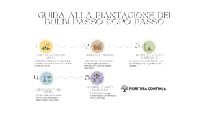 Infografica guida su come piantare bulbi primaverili: posizione, terreno, profondità, orientamento, spaziatura per tulipani e narcisi