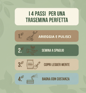 Infografica che mostra i 4 passaggi per una trasemina del prato efficace in autunno: arieggiare, seminare, coprire e bagnare.