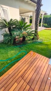 Esempio di Cycas Revoluta e palme in un giardino moderno della Versilia